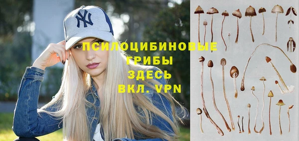 шишки Алзамай