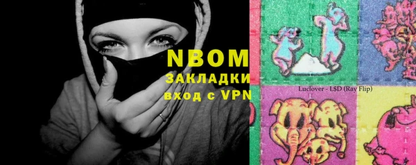 шишки Алзамай