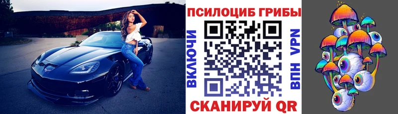 Галлюциногенные грибы прущие грибы  Лобня 