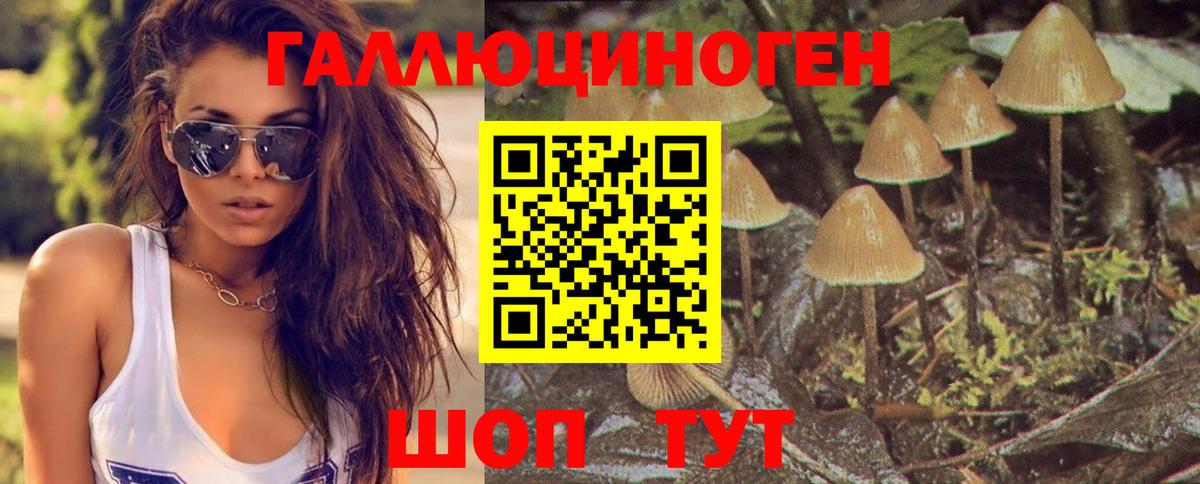 Псилоцибиновые грибы мицелий Лобня