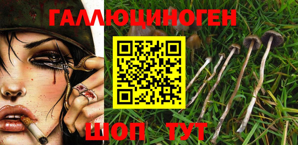 Псилоцибиновые грибы Magic Shrooms  Вход с VPN  Лобня 